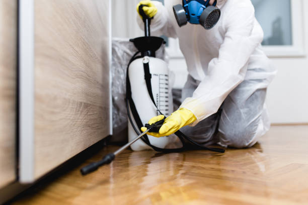 Best Mosquito Control Services  in West Elmira, NY