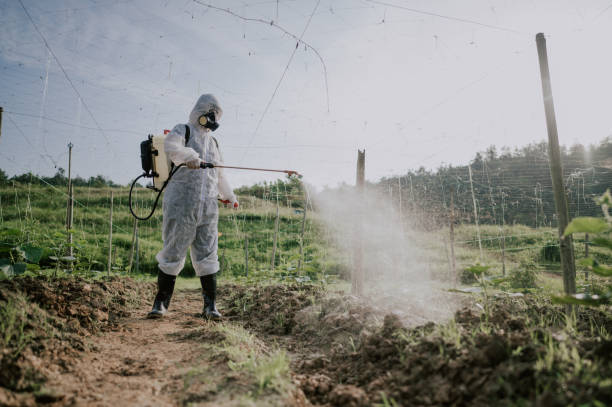 Best Best Pest Control Companies  in West Elmira, NY