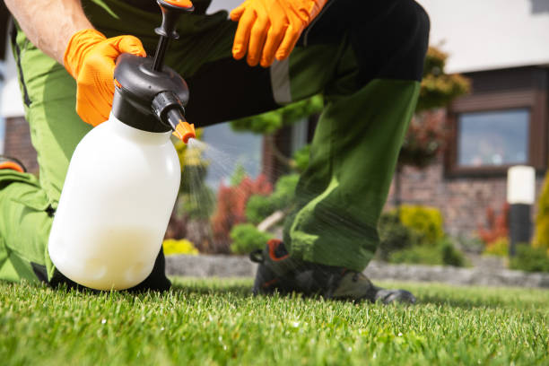 Best Pest Control Near Me in West Elmira, NY