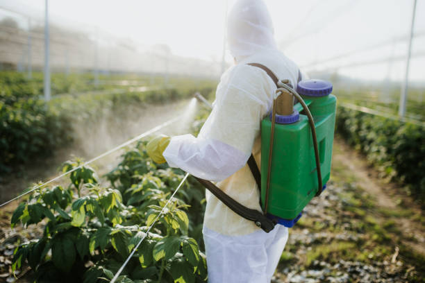 Best Best Pest Control Companies  in West Elmira, NY